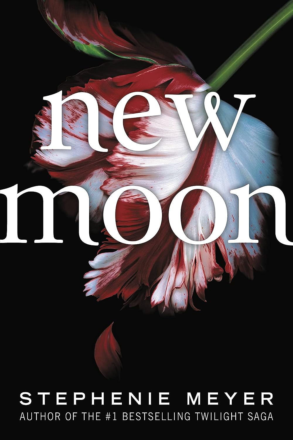 new moon book review